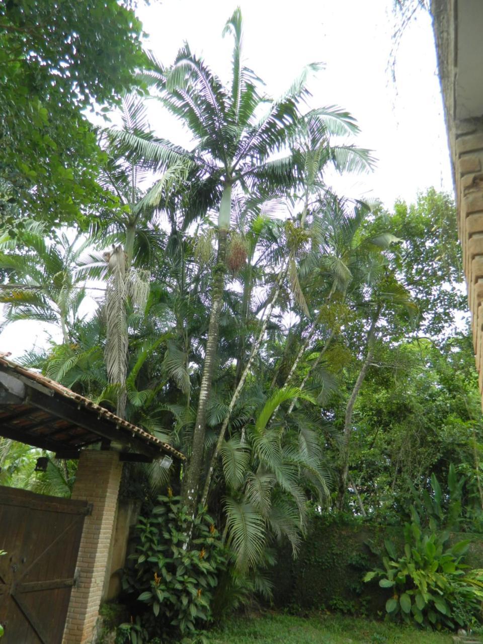 Solar das Canoas Prumirim Ubatuba Exterior foto